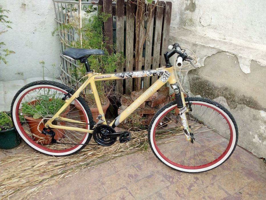 Bicicleta Cruiser Beach
