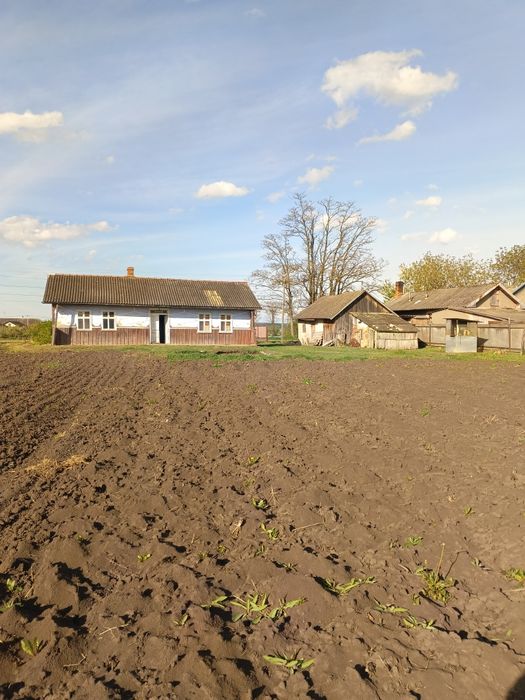 Будинок. Земельна ділянка