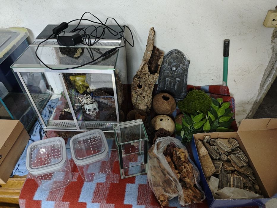 Terrarium dla ptasznika 30cm/30cm/40cm z oświetleniem i akcesoriami