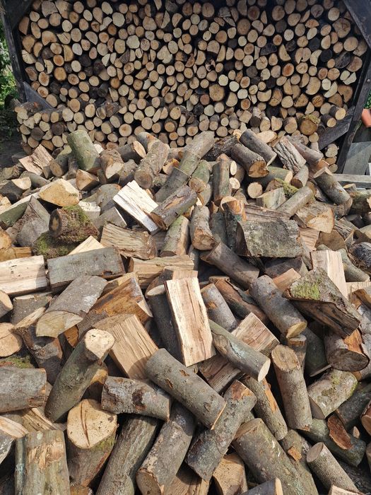 DREWNO kominkowe, gałęziówka TRANSPORT!