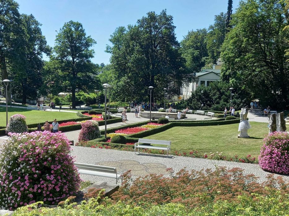 Wypoczynek w Stylowej Kamienicy. Zniżka na stoku - 10%