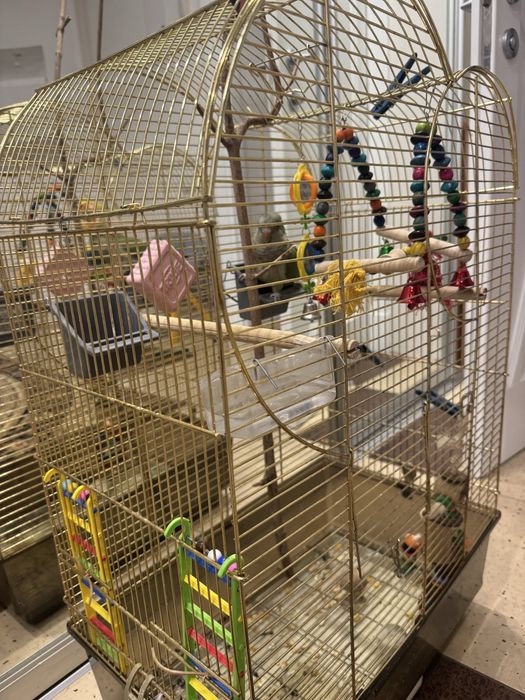 Клетка с птичкой