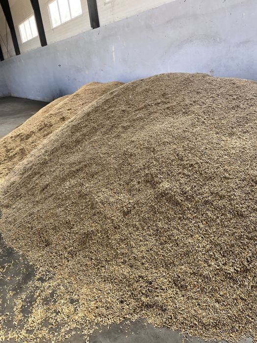 Owies jak pelet a 3x taniej