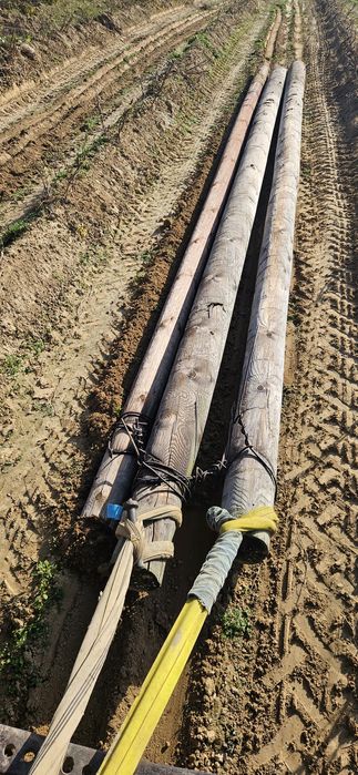 Słupy drewniane do chmielu