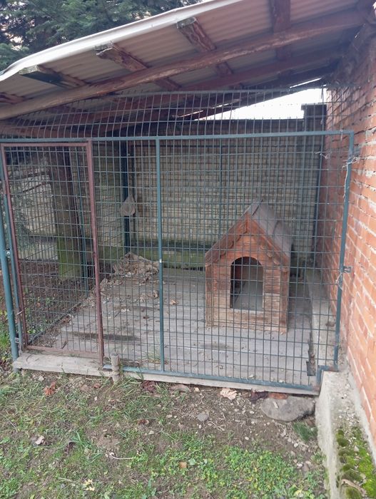 Вольєр для собаки разом з будою як на фото.
