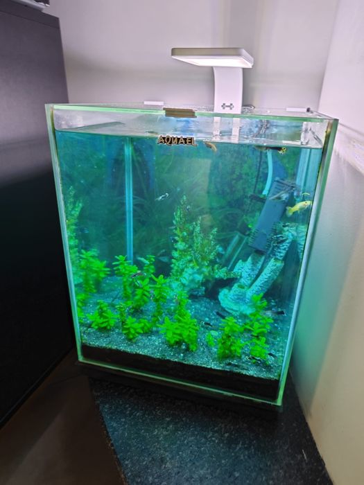 Akwarium 30 l kostka