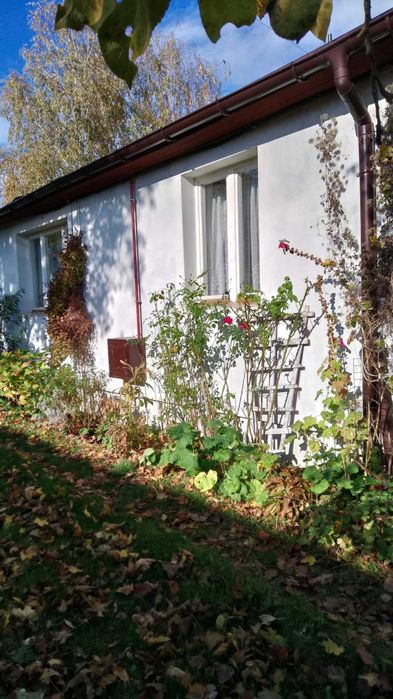 Dom do wynajęcia, Wyszków 53 km od Warszawy