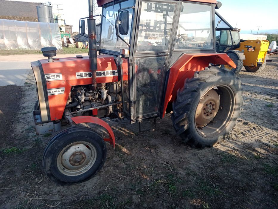 MF Massey Ferguson 255 1 właściciel  3512 oryginalny598 stan 550 699