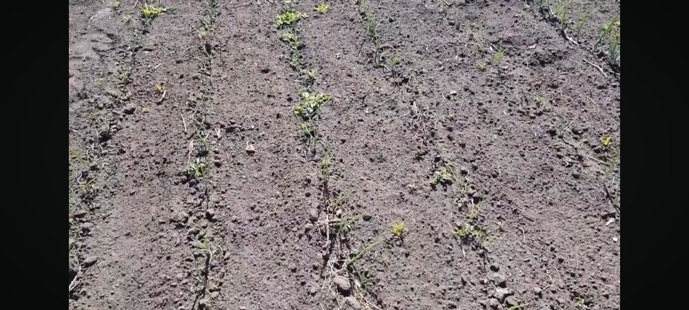 Продам участок 10 соток ул Озерна 1