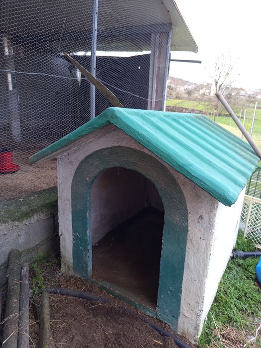 Casota para cão de grande porte