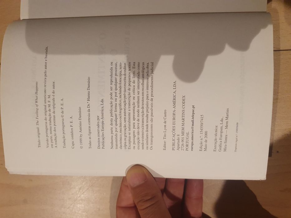 António Damásio o sentimento de si primeira edição