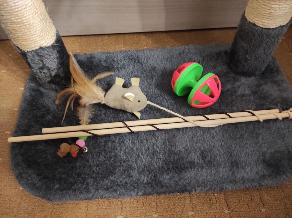 Кошачьи когтеточки