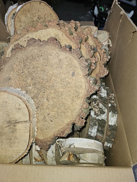 Plastry brzozy suche różne rozmiary