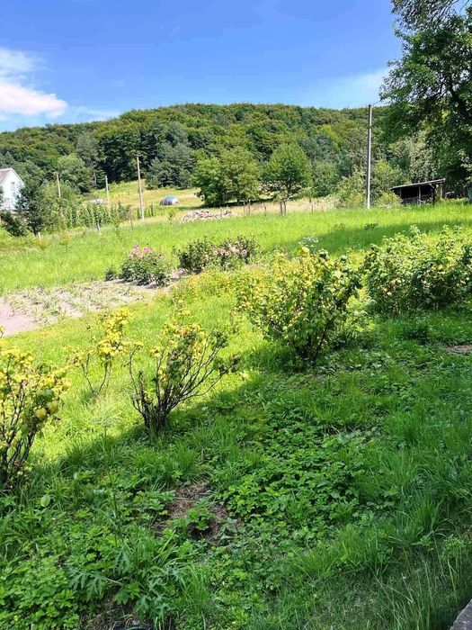 Продаж будинку + 1 гектар землі в с.Тростянець