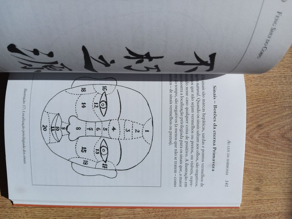 Feng Shui do Corpo, Chao-Hsiu Chen