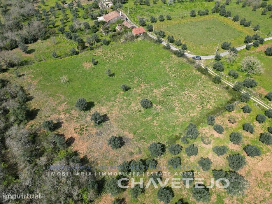 Quinta com casa antiga para recuperar perto de Chãos.