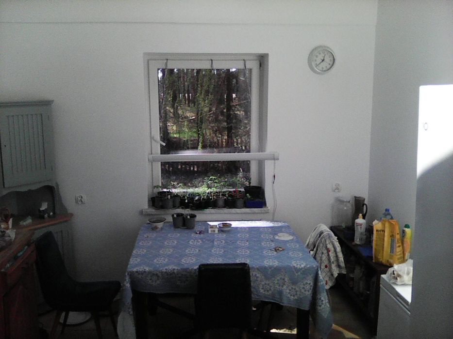 Dom mieszkalny we wsi Rybojady - Widok 5