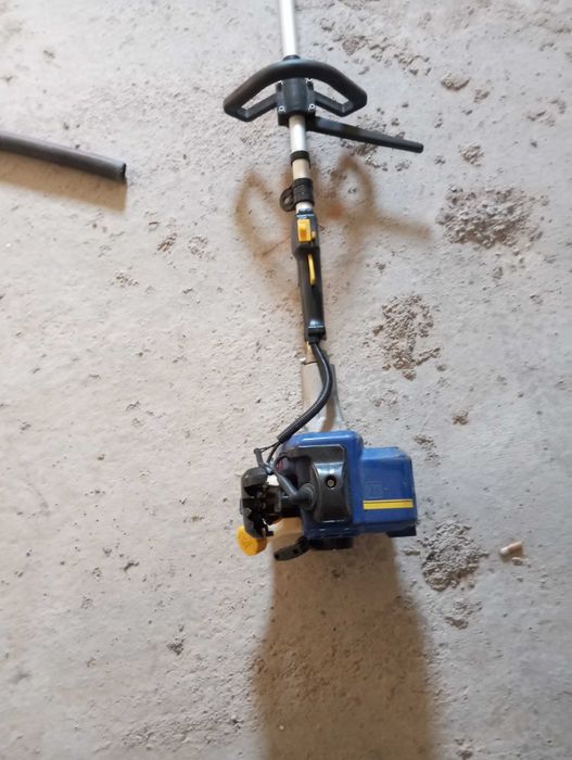 varejador de azeitona