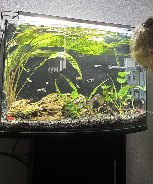 Акваріум 72 л з комплектом