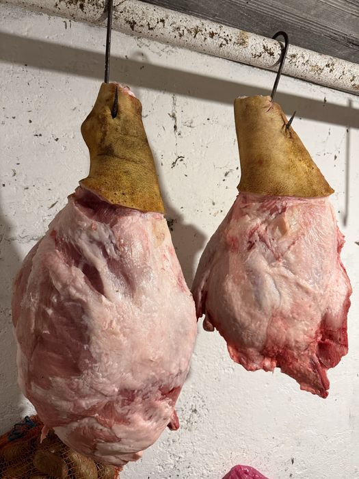 Продам тушку свинини