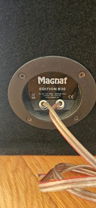 Subwoofer Magnat (800w)