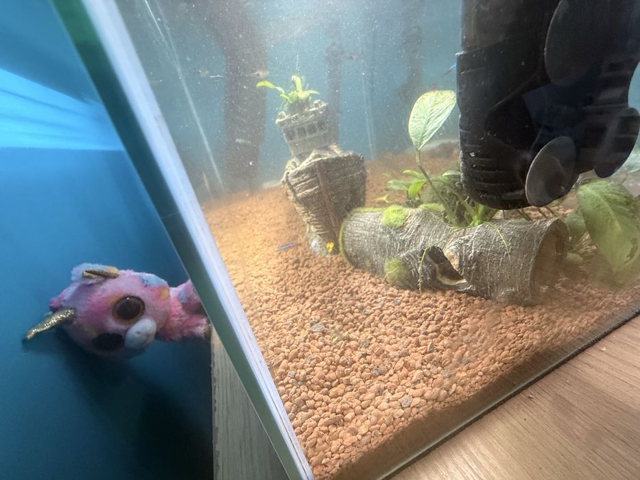 Awarium aquel 60l z akcesoriami i rybami