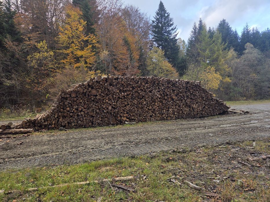 Stemple budowlane, Słupki ogrodzeniowe Płot drewniany