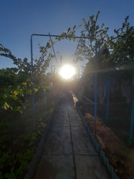 продаю дачу в СВТ Сатурн,  біля с. Калинівка