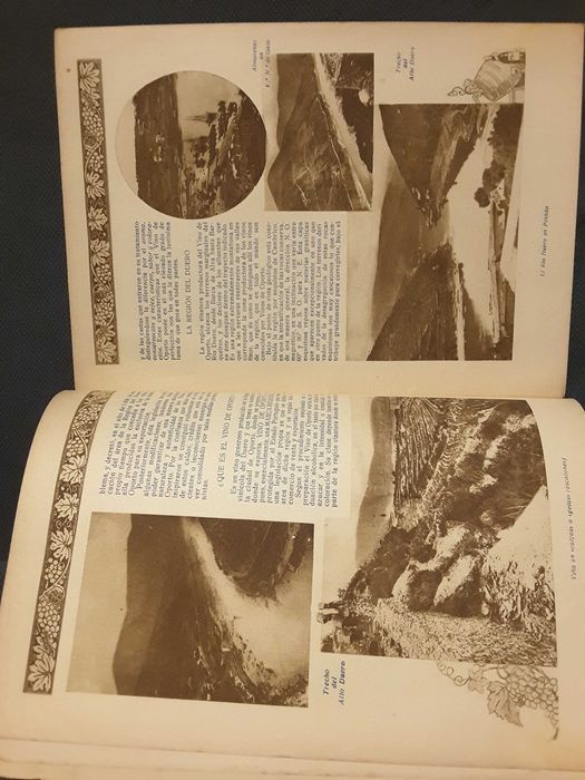 O Vinho do Porto (1929) / Vinho, História das Civilizações e a Cultura