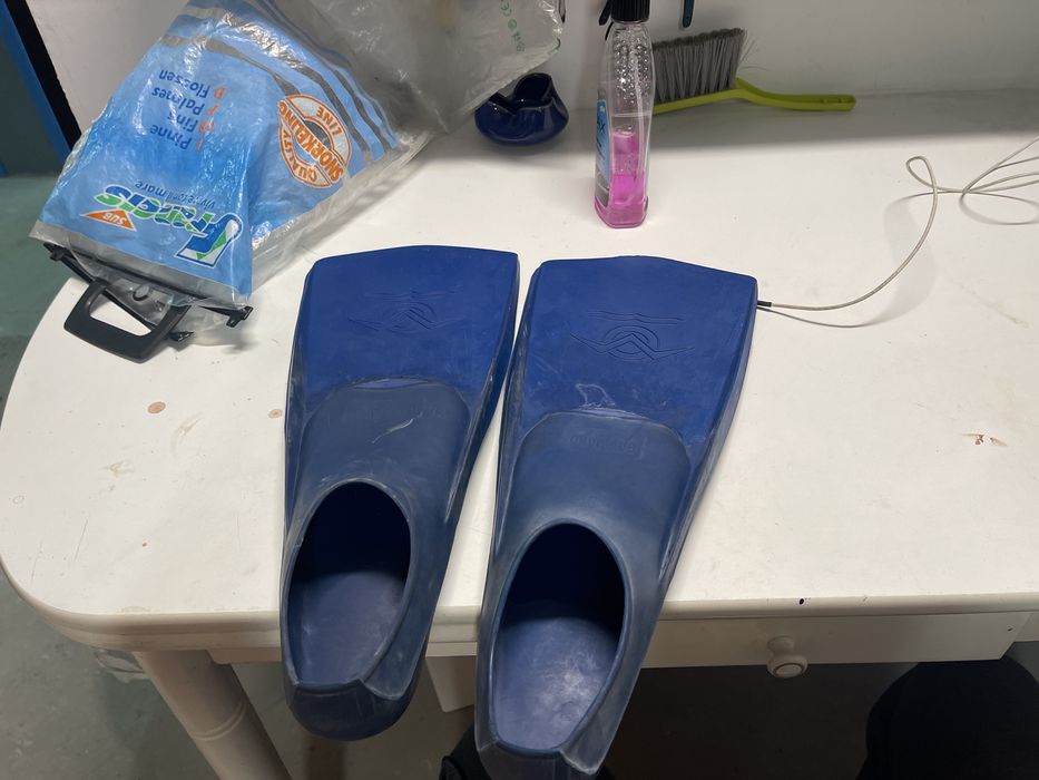 Barbatanas gabbiano francis