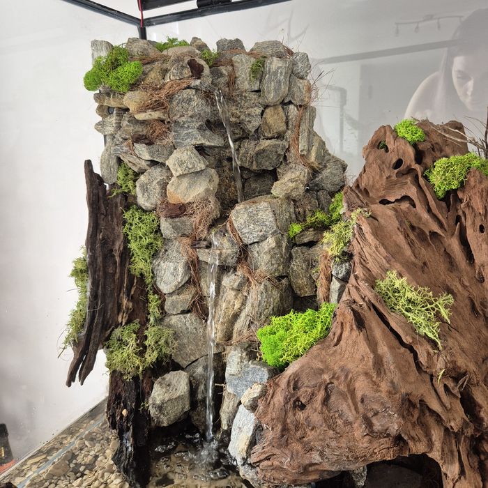 Terarium z wyposażeniem