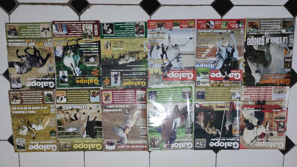 Lote 34 Revistas Galope