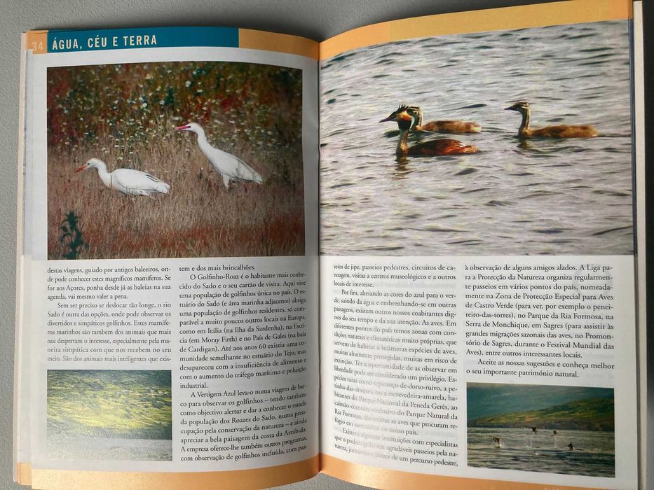 21 Actividades de Serra e Mar