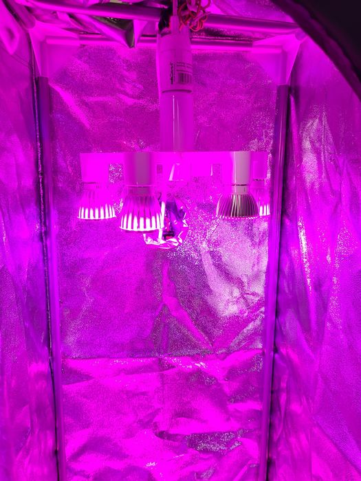 Namiot do uprawy roślin hydroshot hs40 plus led