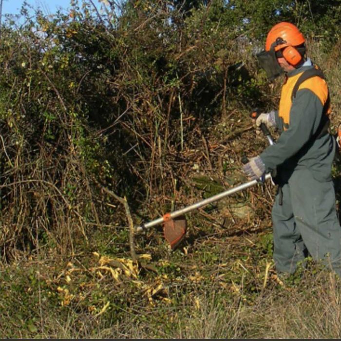 Limpeza de  terrenos ou quintal