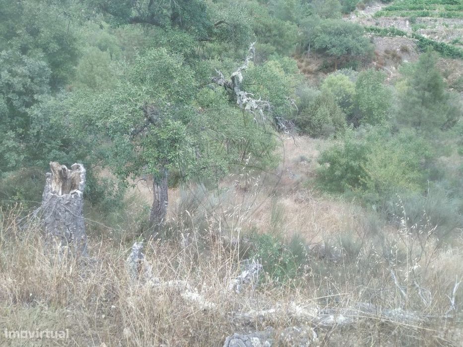 Terreno  para venda