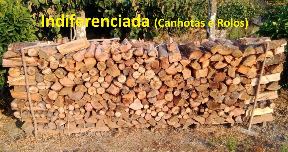 Diferentes lenhas secas e rachadas no verão