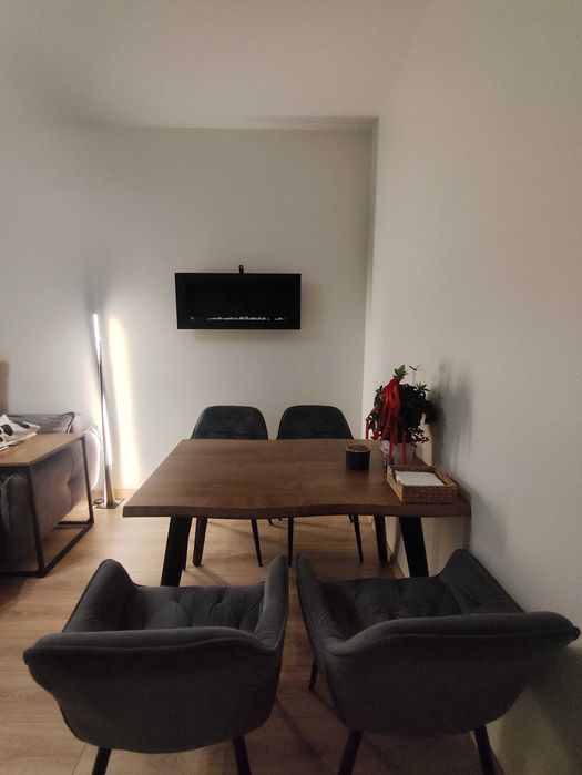 Apartment in Łódź, Polesie - Widok 4