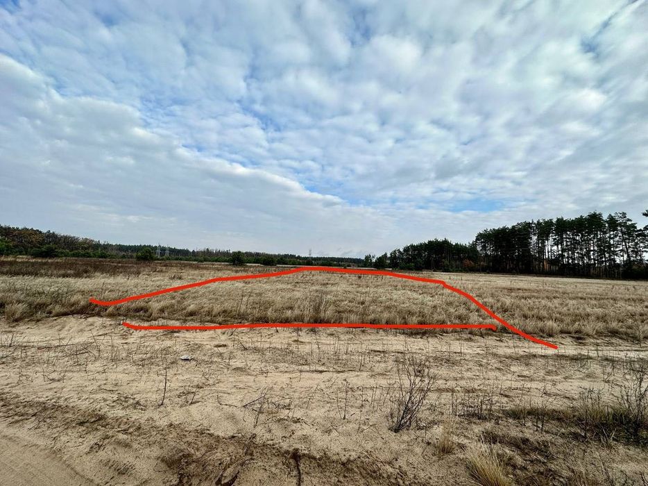 КУТОВА Ділянка 15 сотів біля ЛІСУ. Село Дмитрівка. БЕЗ КОМІСІЇ.