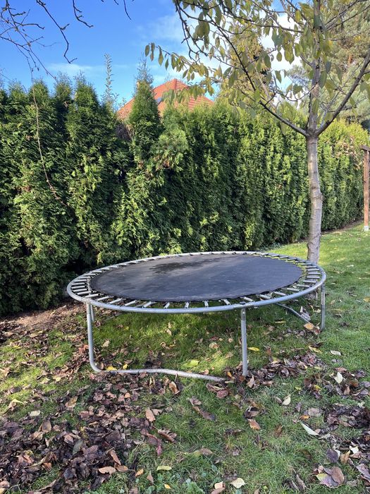 Trampolina uzywana dla kur