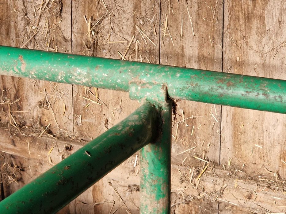 Koryto, Paśnik dla Bydła