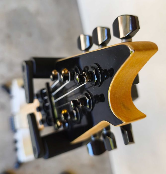 EVH Wolfgang WG Standard 2017