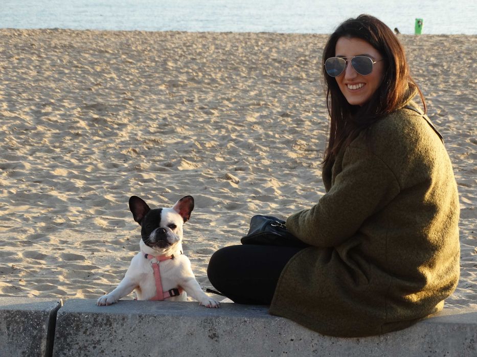 Pet Sitting em Estadia Familiar para animais domésticos Amadora