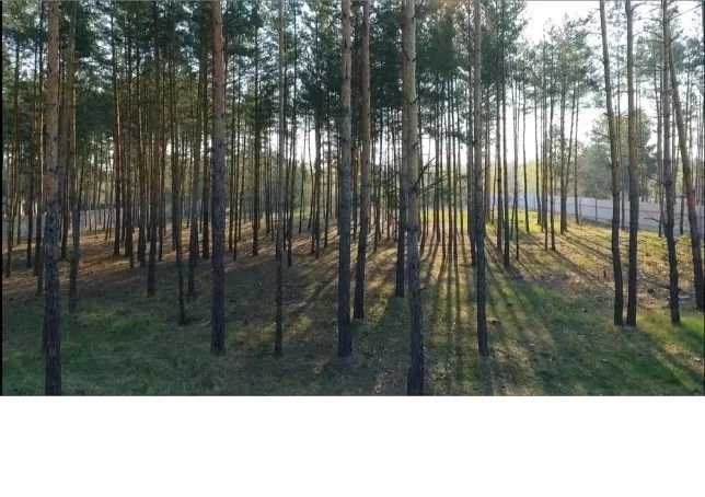 Без % продам ділянку з виходом на канал Дніпра