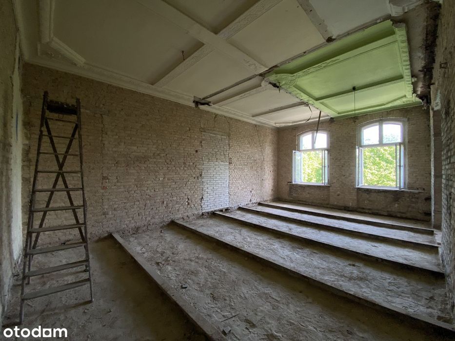 Łazarz mieszkanie kamienica 50m² 3,7m wysokości widok na Park Wilsona