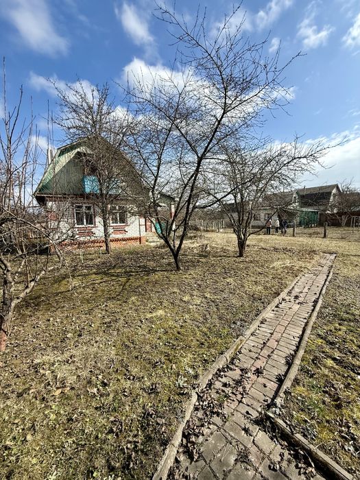 Дачний цегляний будинок в Березанці,10 соток