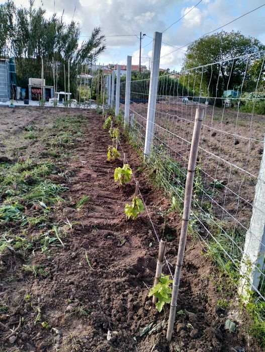 Terreno rústico próximo da cidade