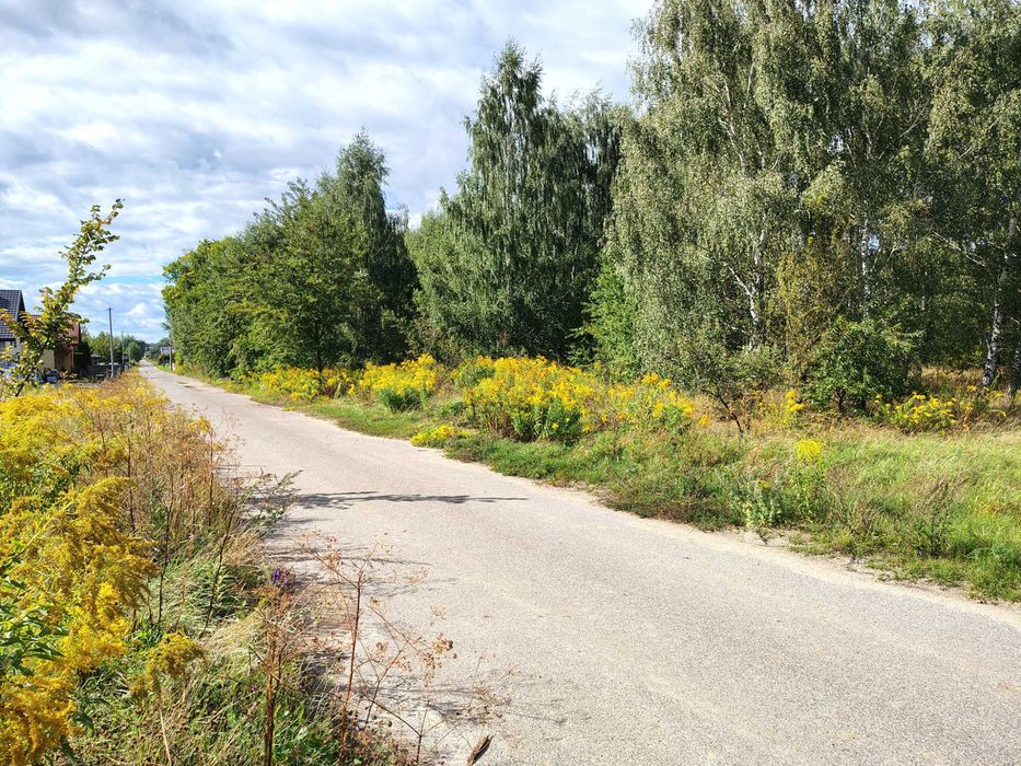 Działka  Białki ul Srebrna