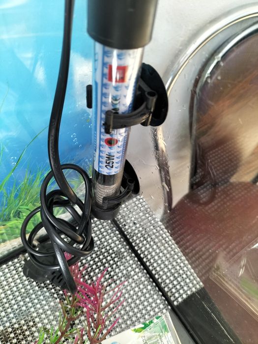 Nowe akwarium + gratisy