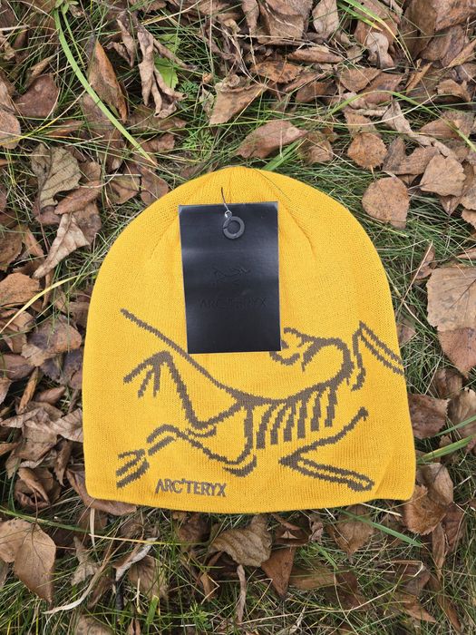 Шапка Arc’teryx Bird Head Toque